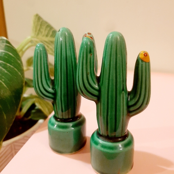 Other - Rustic Glazed Vintage Cactus Salt and Pepper Shaker Set Hand painted Gre…